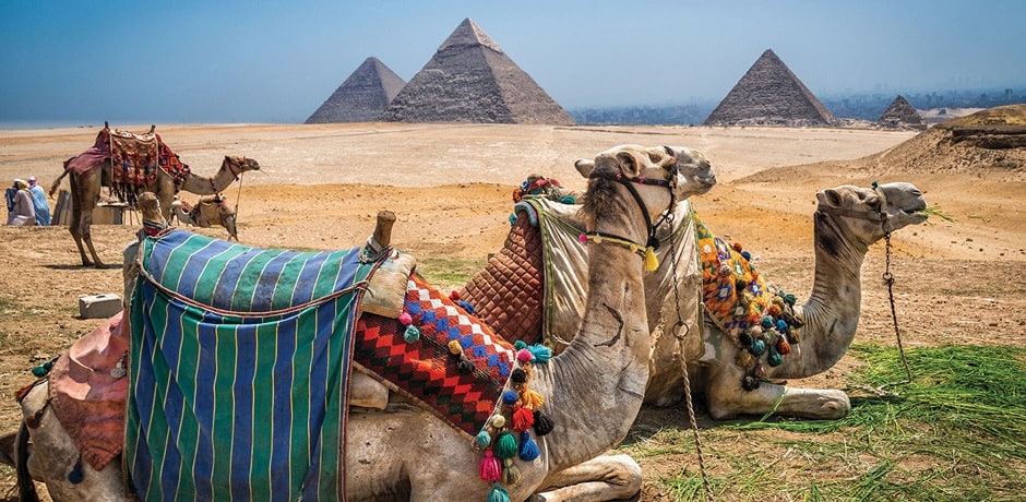 Treasures of Egypt 2019
