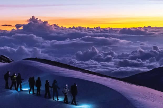 Kilimanjaro insider journey summit
